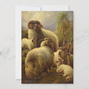 Cartes Pour Fêtes Annuelles Sheep écossais des Highlands