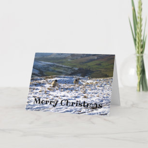 Cartes Pour Fêtes Annuelles Sheep on a Snowy Field Christmas