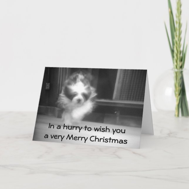 CARTES POUR FÊTES ANNUELLES SHEEPDOG NOËL SOUHAITE (Devant)