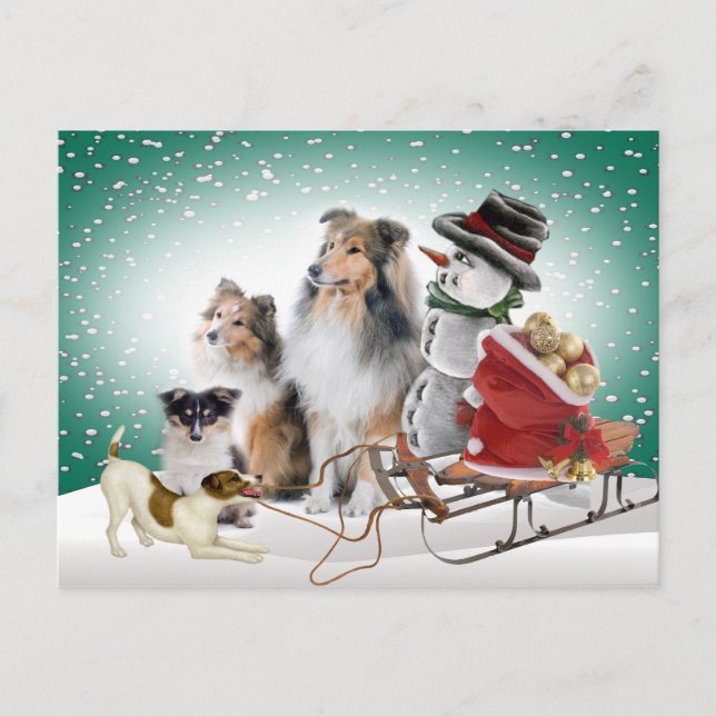 Cartes Pour Fêtes Annuelles Sheltie, Jack Russell et Snowman Xmas (Devant)