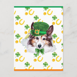 Cartes Pour Fêtes Annuelles Sheltie Shamrock St. Patricks Day
