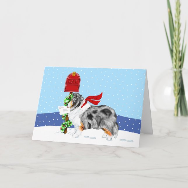 Cartes Pour Fêtes Annuelles Shelty Christmas Mail Blue Merle (Devant)