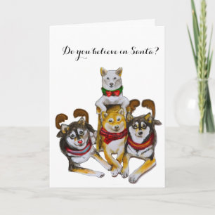 Cartes Pour Fêtes Annuelles Shiba Inu Soeurs Kikko Sasha Momo Hina