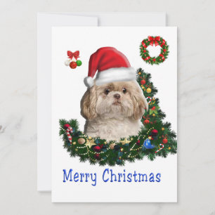 Cartes Pour Fêtes Annuelles Shih Tzu