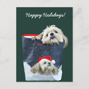 Cartes Pour Fêtes Annuelles Shih Tzu cadeau de Noël