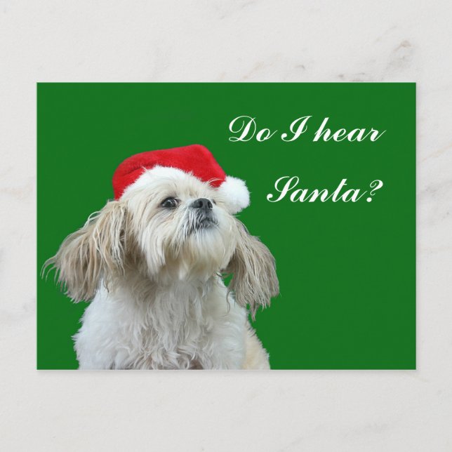 Cartes Pour Fêtes Annuelles Shih Tzu détecte à l'oreille Père Noël (Devant)