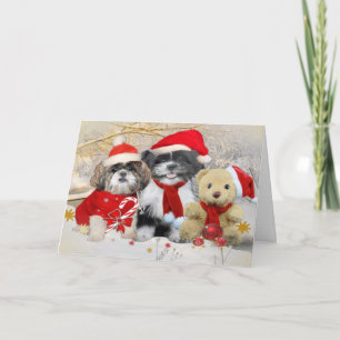 Cartes Pour Fêtes Annuelles Shih Tzu et Teddy Bear Xmas