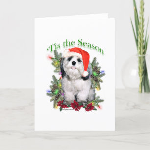 Cartes Pour Fêtes Annuelles Shih Tzu 'Tis the Season