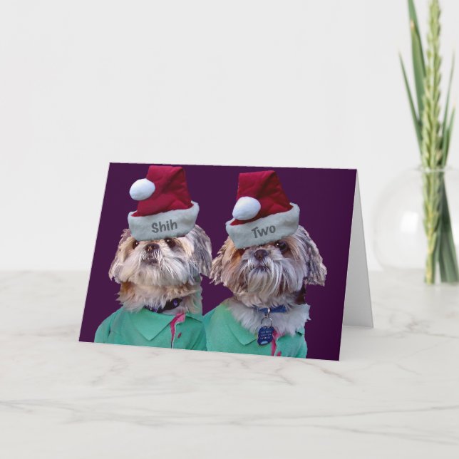 Cartes Pour Fêtes Annuelles Shih Tzues Shih Two (Devant)