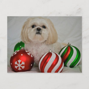 Cartes Pour Fêtes Annuelles Shiz Tzu avec décoration de noël