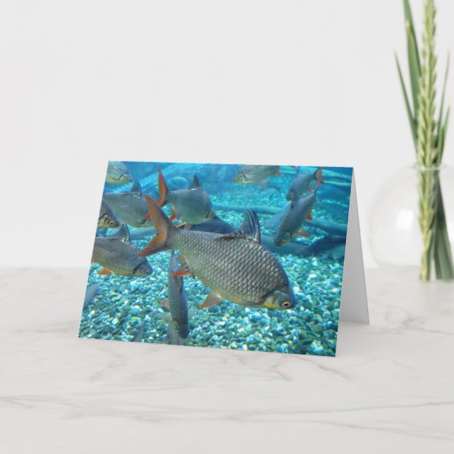 Cartes Pour Fêtes Annuelles Shoal of Fish (Devant)