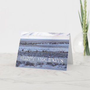 Cartes Pour Fêtes Annuelles Shootin