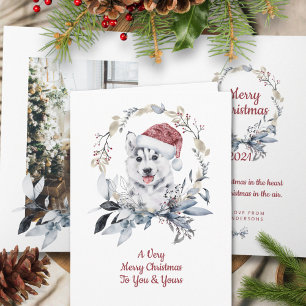 Cartes Pour Fêtes Annuelles Sibérie Husky Family One Photo Joyeux Noël