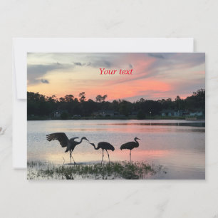Cartes Pour Fêtes Annuelles Silhouette des grues de Sandhill au coucher du sol