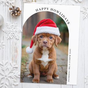 Cartes Pour Fêtes Annuelles Simple Arche Noël Personnalisé Animaux de Compagni
