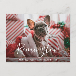 Cartes Pour Fêtes Annuelles Simple élégance mignonne photo chien Noël