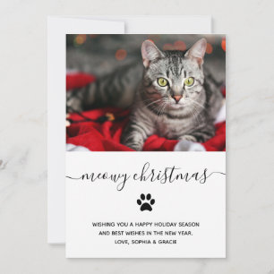 Cartes Pour Fêtes Annuelles Simples vacances amusantes du chat   Photo