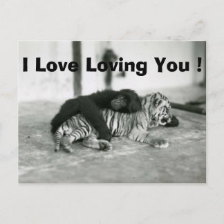 Cartes Pour Fêtes Annuelles Singe et tigre drôles de jour de Valentines
