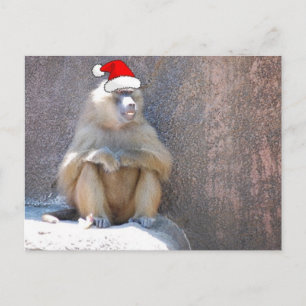 Cartes Pour Fêtes Annuelles Singes et babouins de Noël
