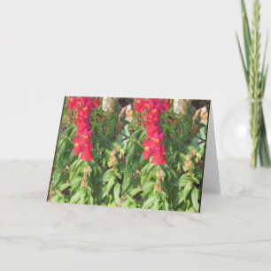 Cartes Pour Fêtes Annuelles SKY Paysage Fleurs d'eau Lac Pond DONS amusants