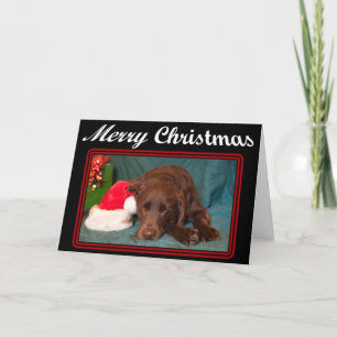 Cartes Pour Fêtes Annuelles Sleeping Chocolate Lab With Santa Hat