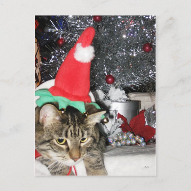 Cartes Pour Fêtes Annuelles Slim Kitty Elf & Tinsel Tree (Devant)