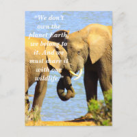 Slogan Personnalisé/Conservation L'Amour Des Éléph