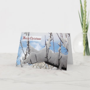 Cartes Pour Fêtes Annuelles Snow Branch Christmas Card