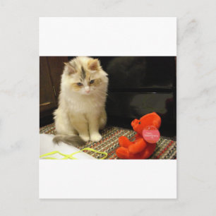Cartes Pour Fêtes Annuelles Snuggler meows "jour de Valentines heureux ! "