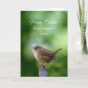 Cartes Pour Fêtes Annuelles Sœur de Pâques Troglodyte Oiseau Vœux