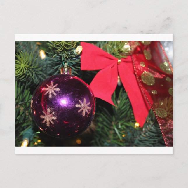 Cartes Pour Fêtes Annuelles Soin de Noël (Devant)