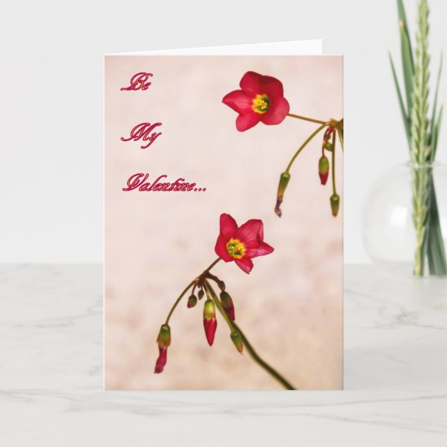 Cartes Pour Fêtes Annuelles Sois ma Saint Valentin (Devant)