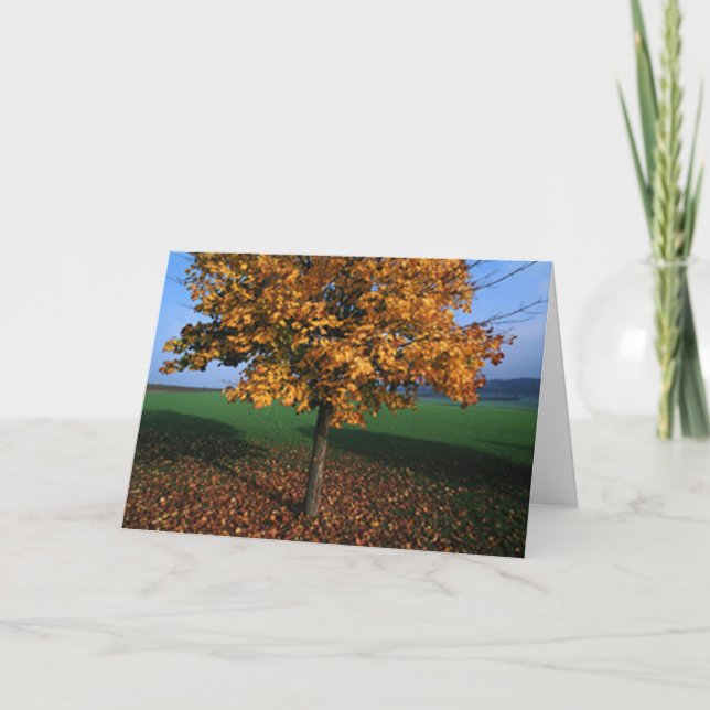 Cartes Pour Fêtes Annuelles Solidement ancrée (Devant)