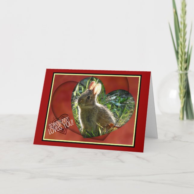 Cartes Pour Fêtes Annuelles Somebunny vous aime ! Photographie de lapin (Devant)