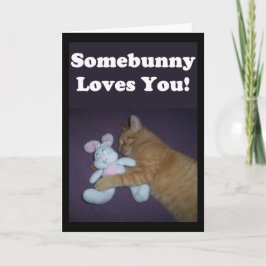 Cartes Pour Fêtes Annuelles Somebunny vous aime ! Valentine