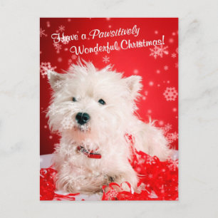 Cartes Pour Fêtes Annuelles Souhaits de Noël de Terrier blanc de montagne