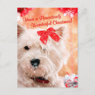 Cartes Pour Fêtes Annuelles Souhaits de Noël de Terrier blanc de montagne
