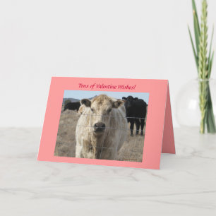 Cartes Pour Fêtes Annuelles Souhaits de Valentine de troupeau de bovins -