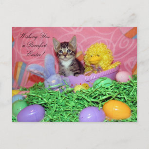 Cartes Pour Fêtes Annuelles Souhaits Pâques !