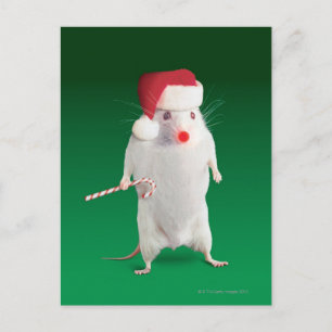 Cartes Pour Fêtes Annuelles Souris habillée en Père Noël