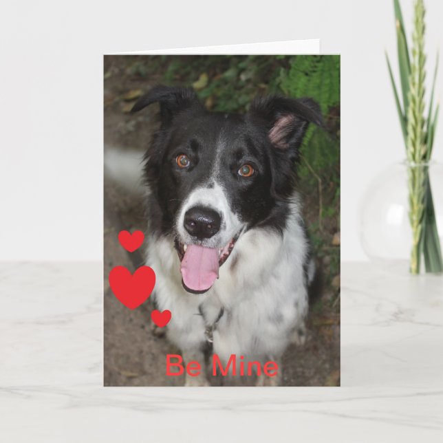 Cartes Pour Fêtes Annuelles Soyez à moi Valentine du chien de border collie (Devant)