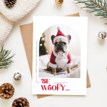 Soyez Woofy Chien Drôle Animalerie Arche Photo Noë