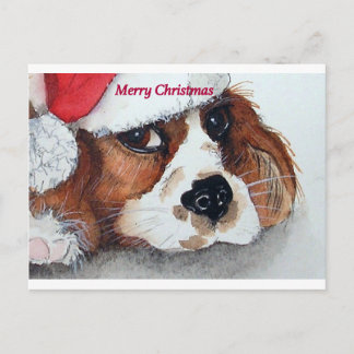 Cartes Pour Fêtes Annuelles Spaniel de Christmas