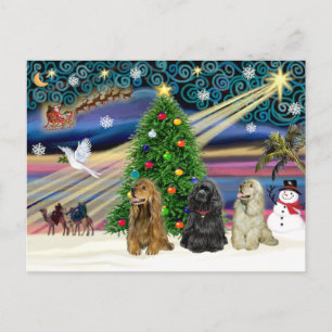 Cartes Pour Fêtes Annuelles Spaniels Cocker Magic de Noël (trois)