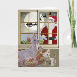 Cartes Pour Fêtes Annuelles Sphynx observant pour l'art de Père Noël