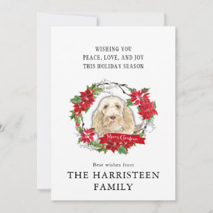 Cartes Pour Fêtes Annuelles Spinone Italiano Aquarelle Poinsettia Noël