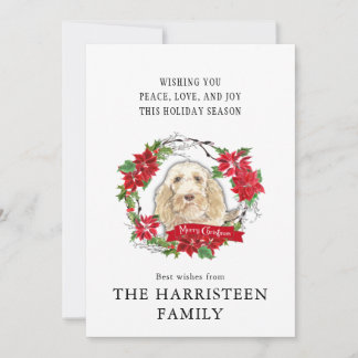 Cartes Pour Fêtes Annuelles Spinone Italiano Aquarelle Poinsettia Noël