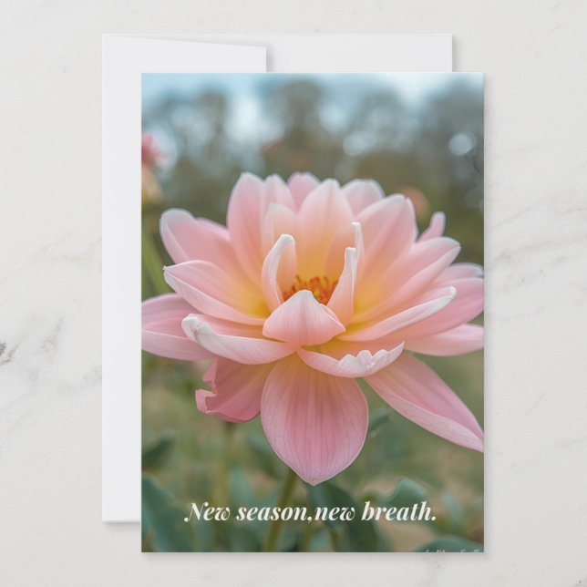 Cartes Pour Fêtes Annuelles Spring Card (Devant)