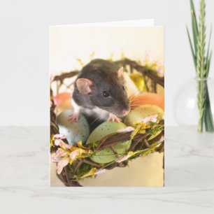 Cartes Pour Fêtes Annuelles Spring Rat Card