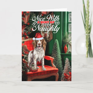 Cartes Pour Fêtes Annuelles Springer de Noël Spaniel Dog Naughty ou Nice